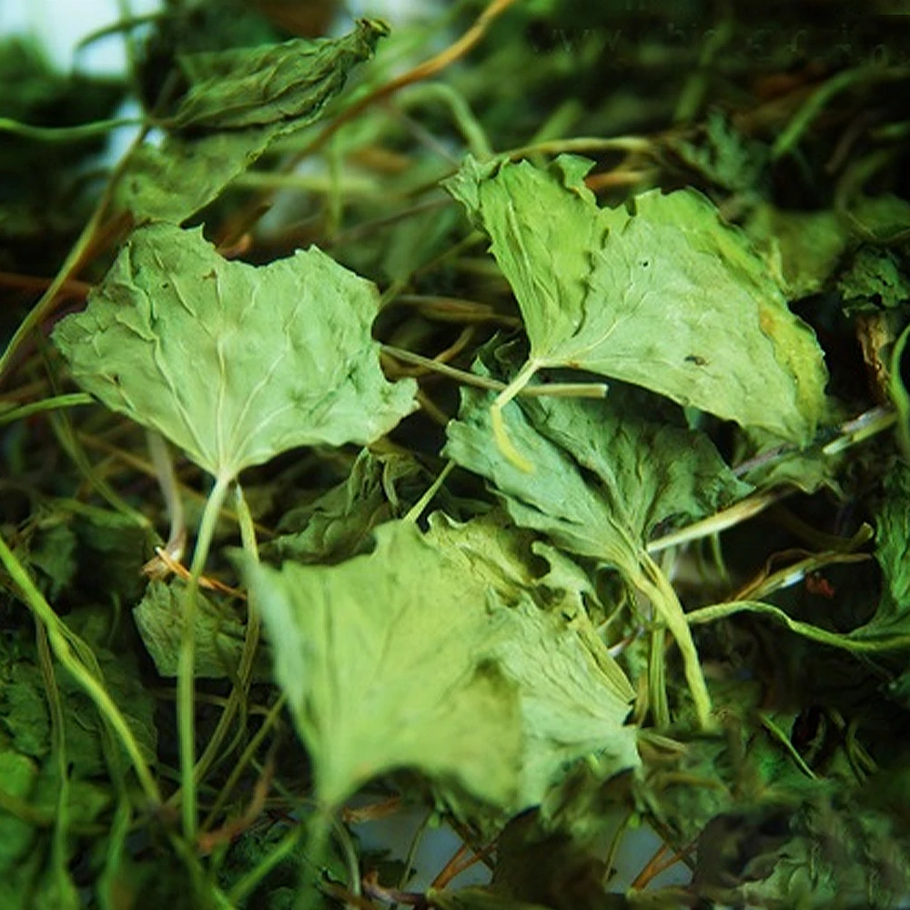 Dried Gotu Kola Leaves Natural Herbel Tea Medicinal Dry Herbs