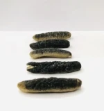 Dried Sea Cucumber - Sand Fish