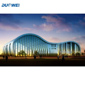DUOWEI Professional Design Wholesale Gym Building Steel Structure