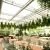 Ecological sightseeing tour of the greenhouse Vegetable and fruit planting greenhouses