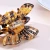 Import Export high-end quality New design ins Butterfly rhinestone acetate hair claw from China