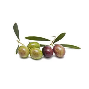 Extra Virgin Olive Oil, 100% Apulian Dedicato Olive Oil