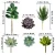 Import Factory directly 14 Pack Assorted Artificial Succulents Unpotted Faux Plants Tillandsia Air Plant Stems for Floral Arrangement from China