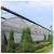 Import Factory Price Multi Span Agriculture Film Greenhouse Commercial Plastic Film Greenhouse from China