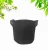 Import Factory Price Newest Eco-friendly Felt Grow Container Bags Planter Felt Fabric Nursery Planting Bag Wholesale Felt Bags from China