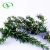Import Factory Supply Plant Dried Rosemary Leaves Extract with High Quality from China