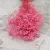 Import Factory wholesale preserved flower babysbreath for wedding decoration from China