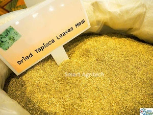 Fedding animal high protein premium grade Powder Dry Cassava Leaf Dried Tapioca Leaves for Animal Feeding
