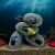 Import Fish Tank Aquarium Decoration Polyresin Cichlid Stones Rocks Cave Ornament Accessories from China