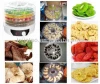 food dehydrator in other kitchen appliances