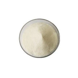 Food ingredients Non Dairy Creamer powder for Coffee and Bakery