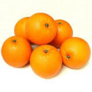 free Orange :Fresh Quality South African Oval Oranges