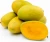Import Fresh Alphonso Mangoes Exporters in India from Philippines