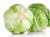 Import Fresh Cabbage - Best price, high quality from Vietnam