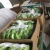 Import Fresh Cavendish Bananas Of Ecuador from Ecuador