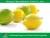 Import Fresh Chinese Lime/lemon from China
