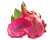Import Fresh Dragon Fruit/ High quality and the best price fresh Dragon fruit from Vietnam