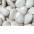 Import Fresh Dried Frozen Lima Beans,White Lima Bean from South Africa