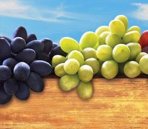 Fresh Grapes-fresh black seeded grapes