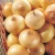 Import Fresh Onion Red Onion Yellow Onion from China