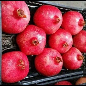 Fresh Pomegranates with high quality from Egypt