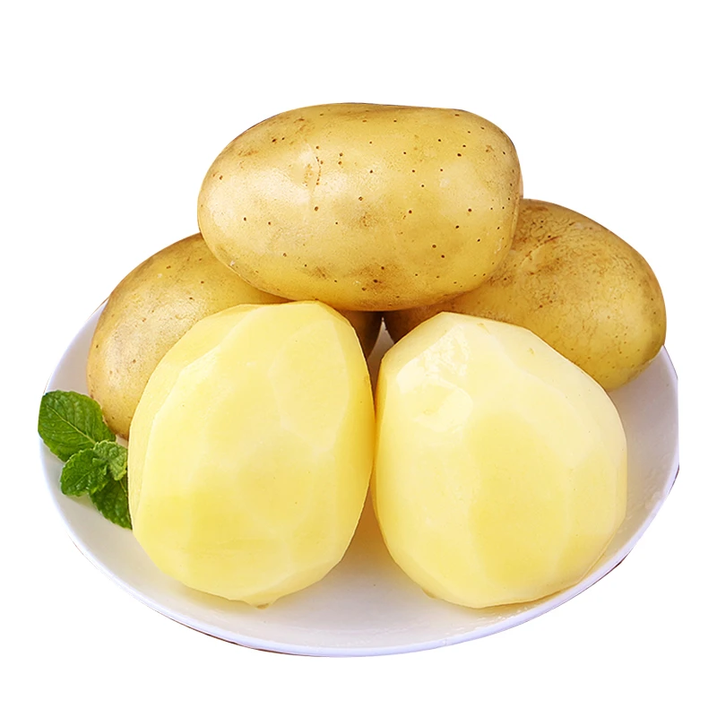 fresh potato export price is competitive