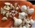 Import Fresh White Garlic Specification Peeled Garlic Normal Snow White Garlic from Egypt
