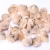 Import Frozen Seafood Importers Hard Clam Meat in Shellfish Highly Quality from China