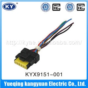 Fuel Injector Car Wiring Harness,Engine Automobile Wiring Harness,Transmission Auto Wiring Harness