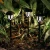 Import Garden line Landscape Waterproof yard RGB spike stake light sensor Outdoor pathway patio Led Solar lawn Lamps light from China