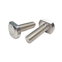 GB37 M8*25 Stainless Steel T Slot Head Bolts