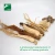 Import Ginseng Extract from China