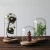 Import Glass Dome with Dark Walnut Wooden Base Home Decor from China