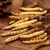 Import GMP factory supply 100% Natural Organic Cordyceps /aweto / winterworm summerherb from China