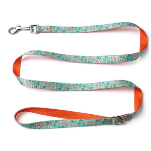 Good Quality Cheap Price Pet Product Nylon Dog Collar Leash in set with  Bowknot Nylon Rope Heated Dog Leash