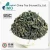 Import Good quality Chinese green tea fanning from China