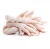 Import Grade A Halal Frozen Chicken Feet, Paws, Breast, Whole Chicken, Legs and Wings from South Africa
