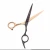 Import Hair Scissors 6 AQIABI Japanese Steel Hair Cutting Scissors Thinning Shears Hairdressing Scissors Salon Styling Tools A1001 from China