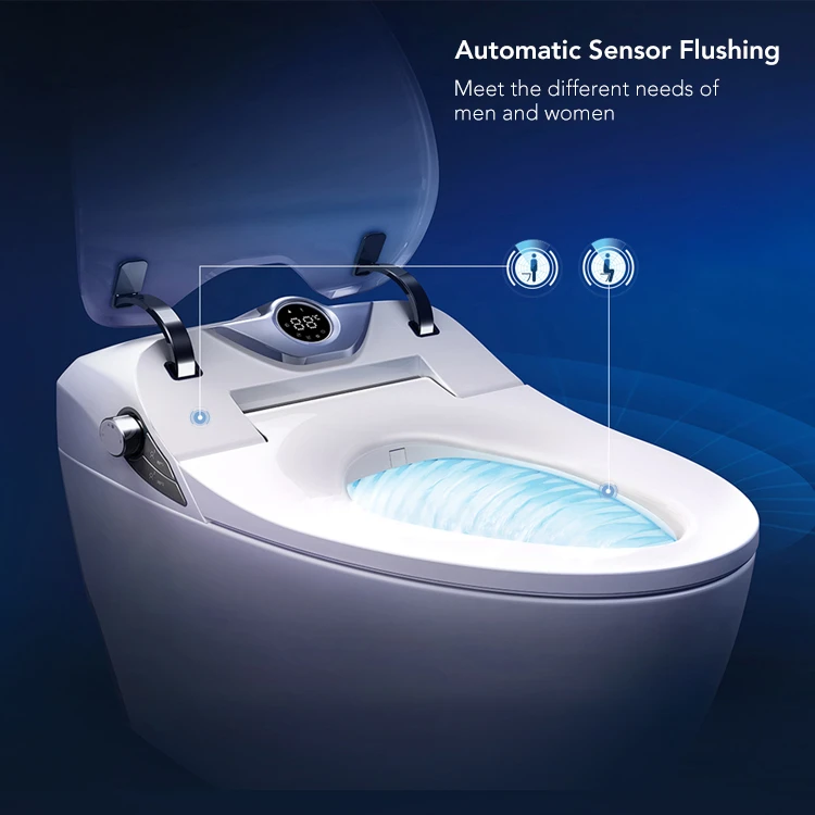 HEGII luxurious professional full funtion automatic sensor flushing ceramic wc electronic intelligent smart toilet with bidet