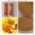Import Herbal Tea Type, FDA HALAL 5g instant honey ginger tea drink factory from China