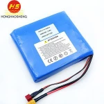 HHS Battery Lithium Battery Pack 60V 2.9Ah Customized Batteries For Solowheel