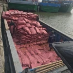 High efficiency coconut coir pith or coco peat + 84 938244404