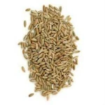 High Organic Dry Oat Grain