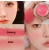 Import High Pigment Private Label Blush Cream Blush Makeup Palette  Custom Makeup  Blush Eyeshadow Palette from China