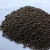 Import high quality and cheap  diammonium phosphate for sale (DAP) / Diammophos / Fertiliser from United Kingdom