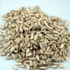High Quality and Low Price Sunflower Seed Kernel