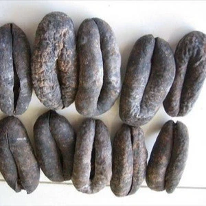 High Quality Dried Sea Cucumber ( White Teat Fish, Prickly Fish) For Sale