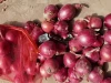 High Quality Gansu Red Onion