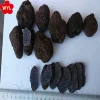 High Quality IQF Frozen Chinese Truffles