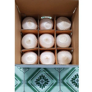 HIGH QUALITY- LOW PRICE FRESH COCONUT FROM VIET NAM